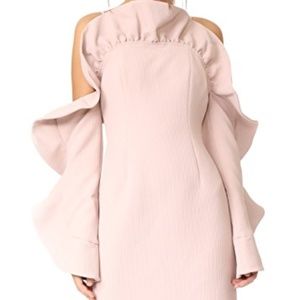 Long sleeve blush ruffle dress